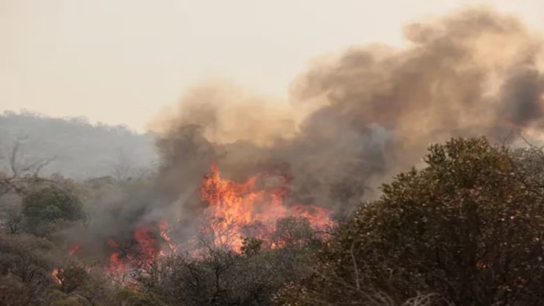 INCENDIO JUJUY.jpg