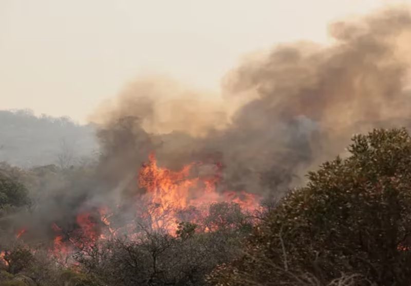 INCENDIO JUJUY.jpg