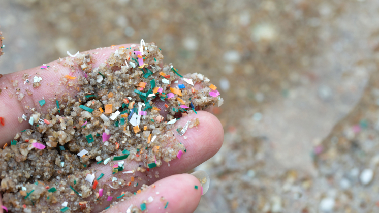 microplasticos_nuevo_746x419.jpg