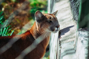 DSC_8113.jpg