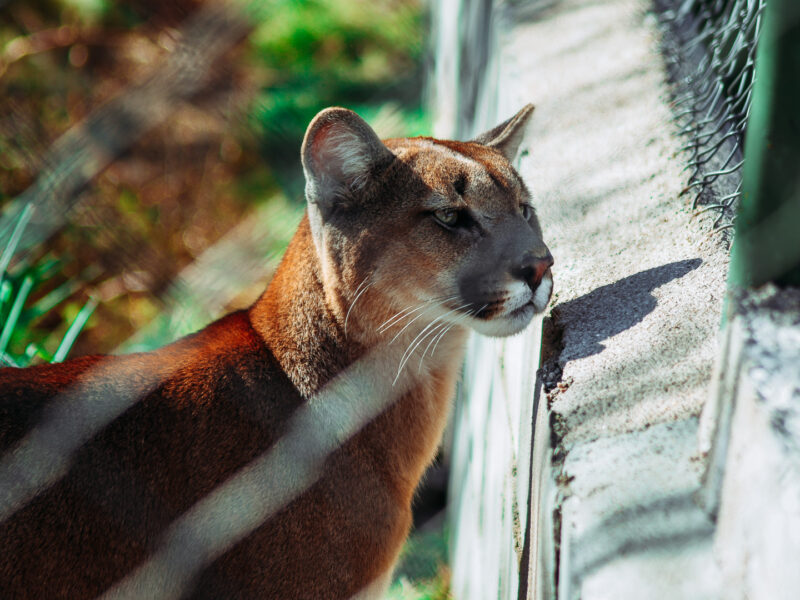 DSC_8113.jpg