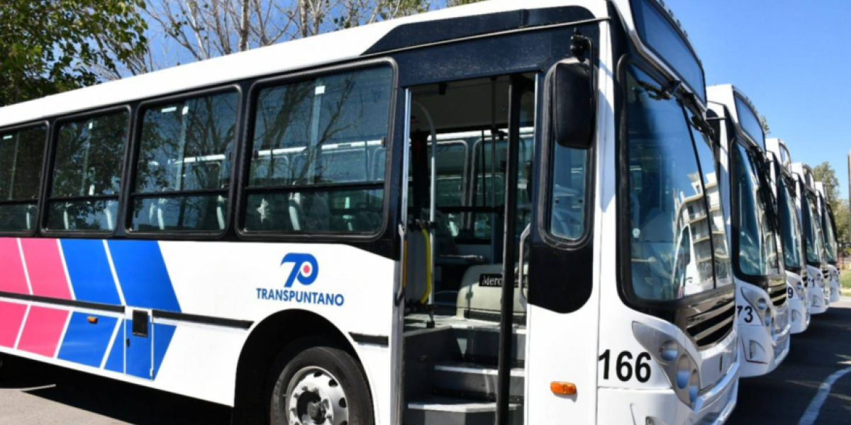 transpuntano