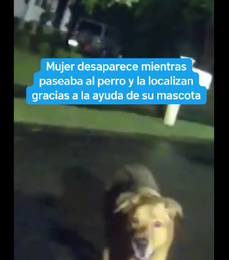 Captura de pantalla 2025-11-08 113618.png