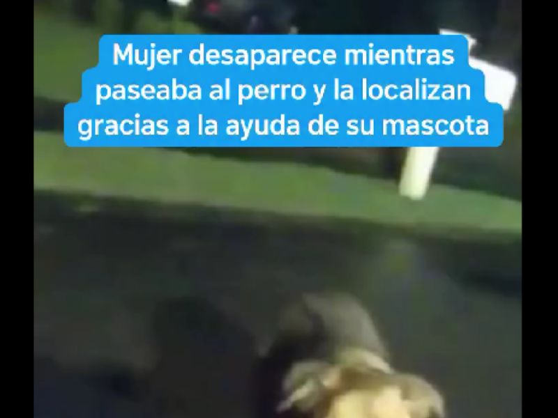 Captura de pantalla 2025-11-08 113618.png