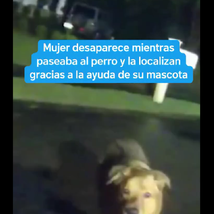 Captura de pantalla 2025-11-08 113618.png