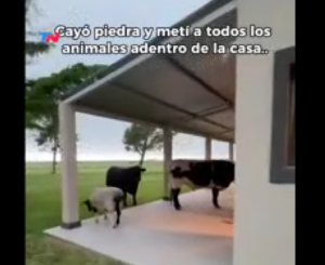 Captura de pantalla 2025-11-14 143356.png