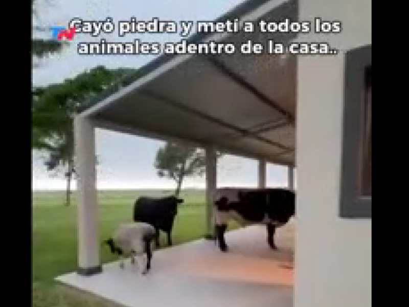 Captura de pantalla 2025-11-14 143356.png