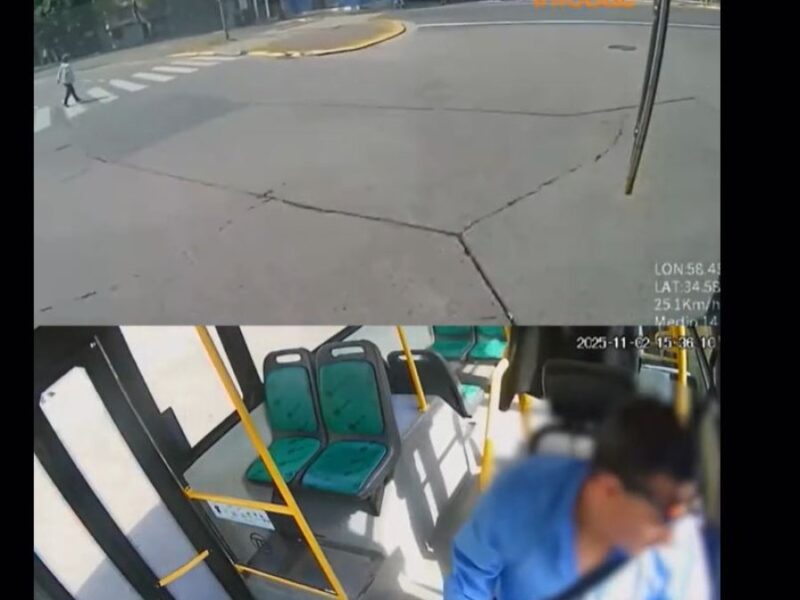 colectivero.JPG