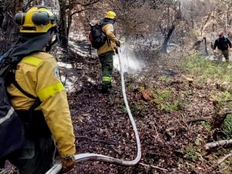 BOMBEROS.jpg