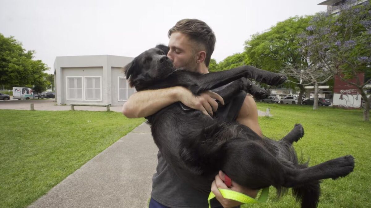 renuncio por su perro.JPG