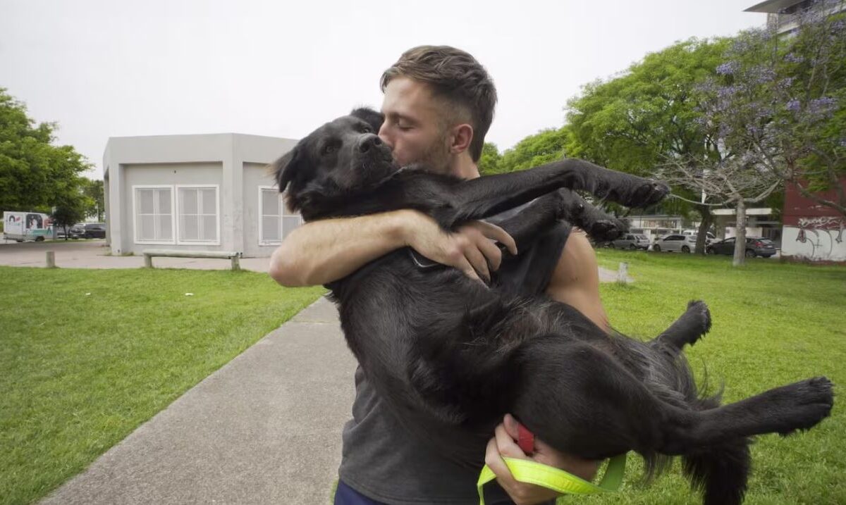 renuncio por su perro.JPG