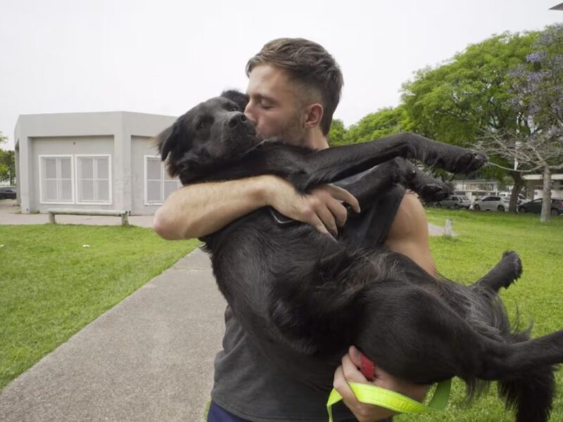 renuncio por su perro.JPG