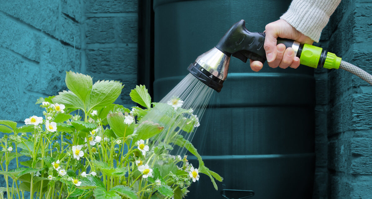 riego.jpg