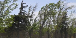 viento-630x417.jpg