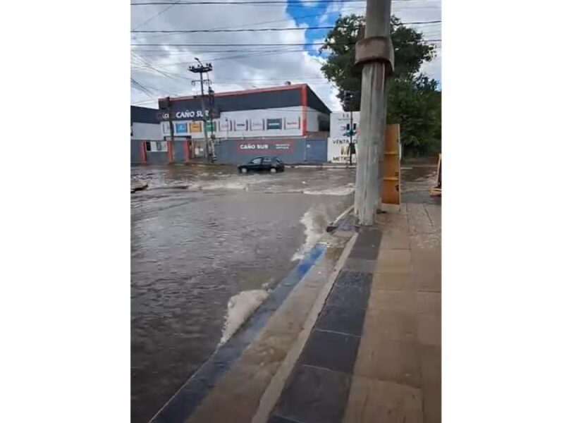 salvadorsegado.JPG