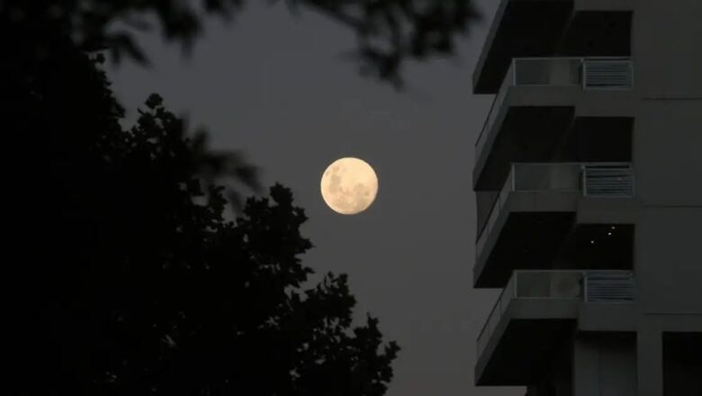 luna.jpg