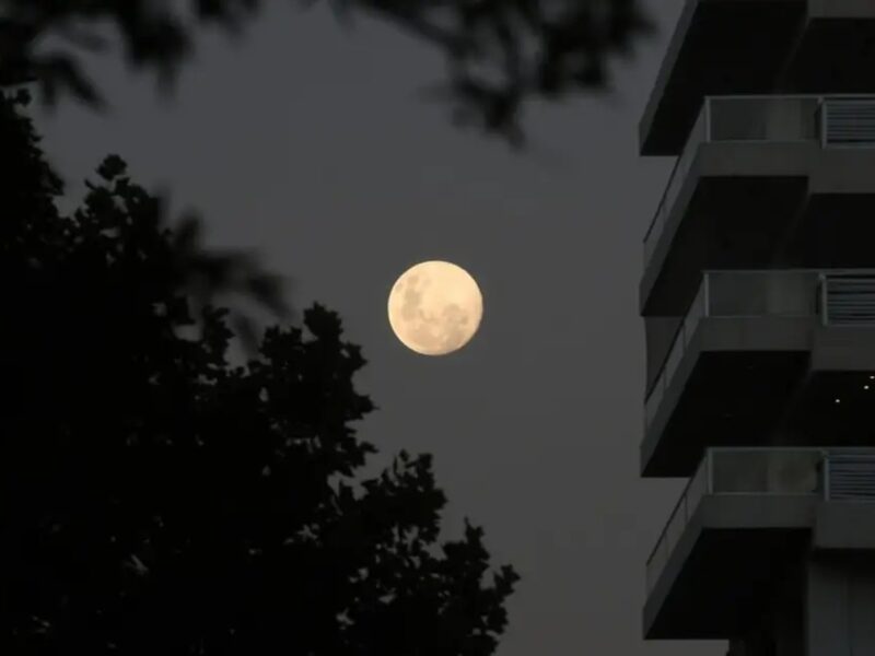 luna.jpg
