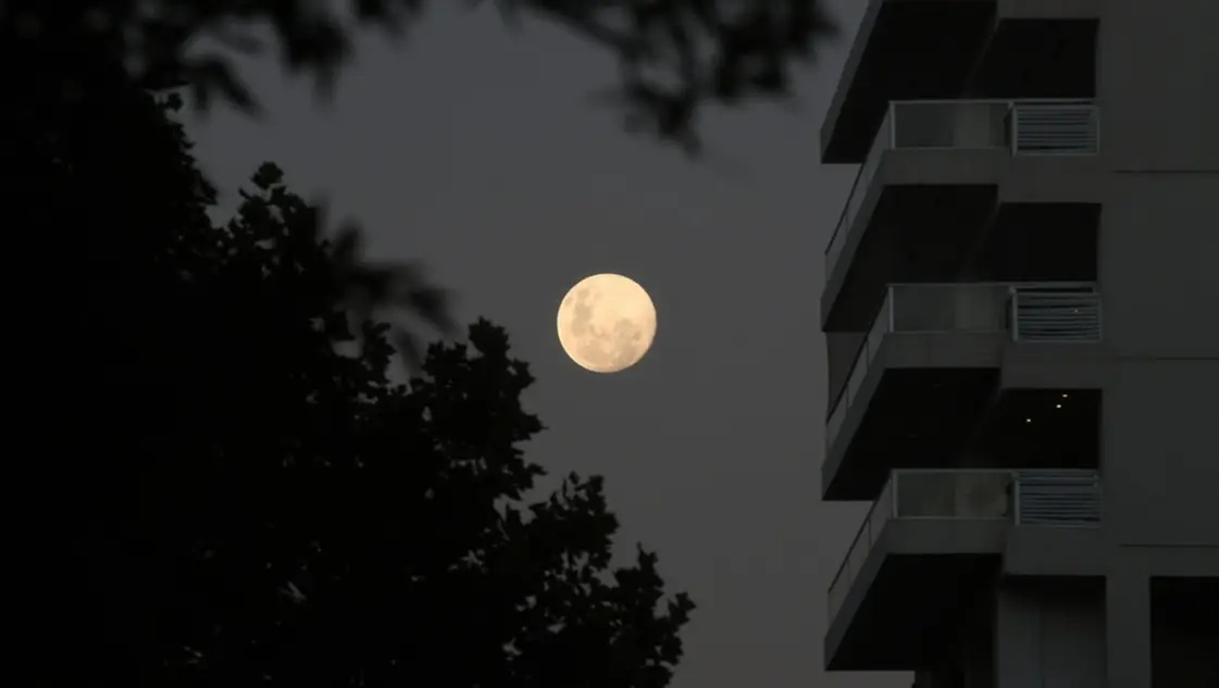 luna.jpg