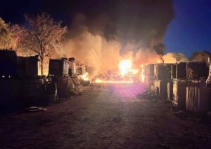 WhatsApp Image 2025-12-12 at 12.11.50.jpeg
