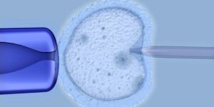 El-esperma-de-un-donante-con-una-mutacion-de-riesgo-para-el-cancer-ha-sido-utilizado-para-concebir-al-menos-197-bebes-en-Europa-1024x664.jpeg
