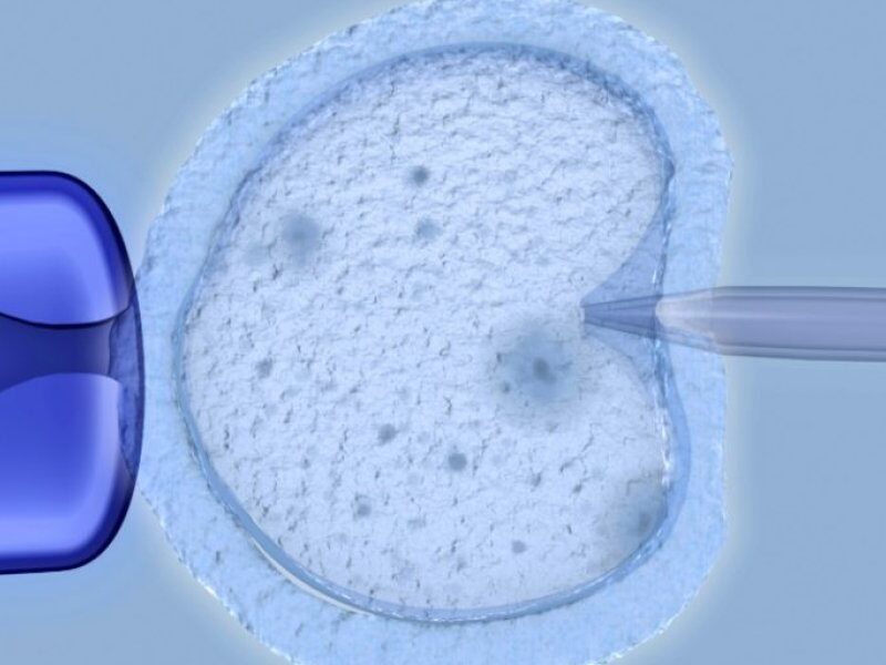 El-esperma-de-un-donante-con-una-mutacion-de-riesgo-para-el-cancer-ha-sido-utilizado-para-concebir-al-menos-197-bebes-en-Europa-1024x664.jpeg