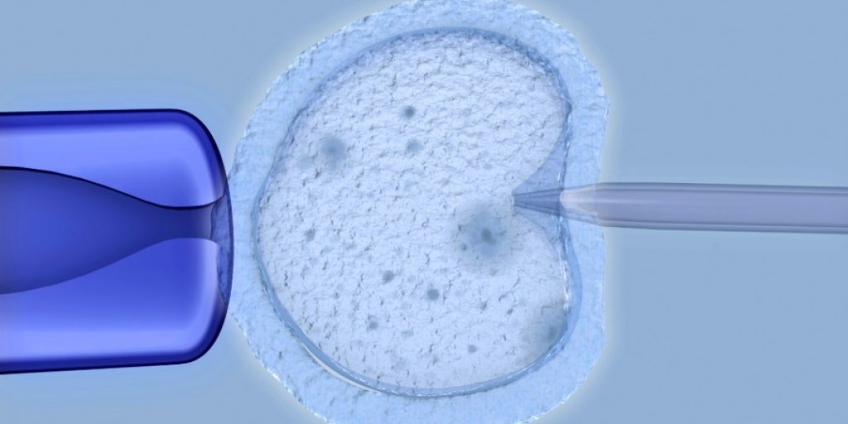 El-esperma-de-un-donante-con-una-mutacion-de-riesgo-para-el-cancer-ha-sido-utilizado-para-concebir-al-menos-197-bebes-en-Europa-1024x664.jpeg