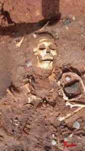 calavera-31-01-261-410x728.jpg