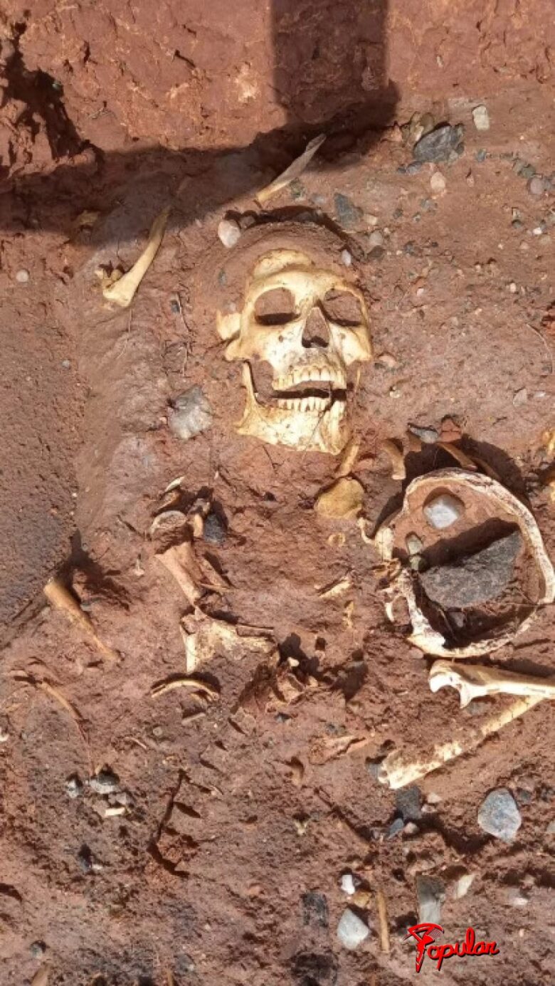 calavera-31-01-261-410x728.jpg