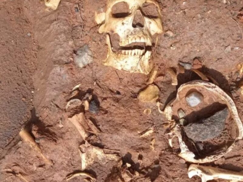 calavera-31-01-261-410x728.jpg