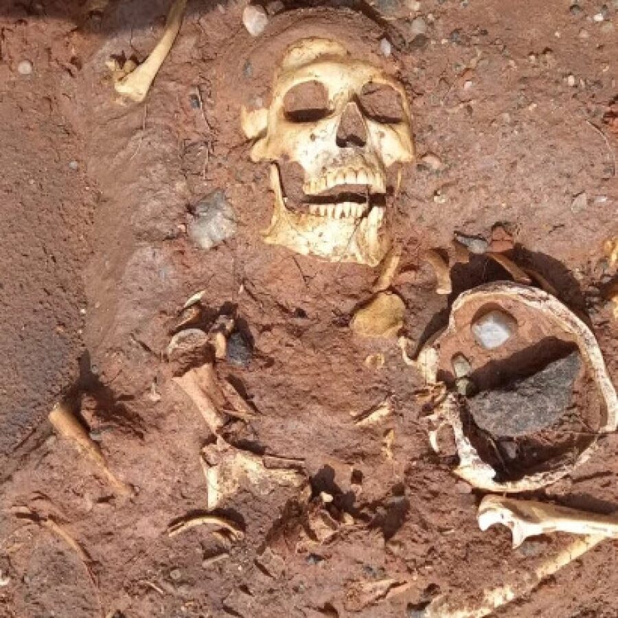 calavera-31-01-261-410x728.jpg