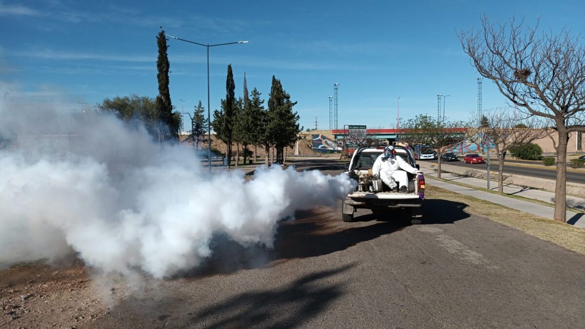 fumigacion-3.jpg