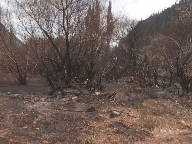 INCENDIOS.jpg