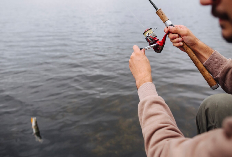 PESCA-EN-SAN-LUIS-4.jpg