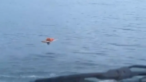 milagro en el mar.png
