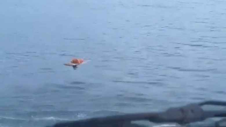 milagro en el mar.png