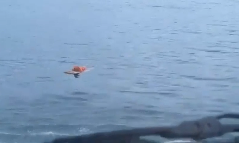 milagro en el mar.png