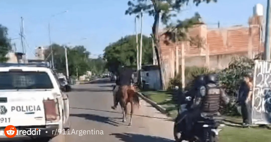 quilmes-dos-delincuentes-menores-de-edad-escapaban-a-caballo-v0-P8IOCyCpXxVeSATtRd0PgddKXO8CurVcTEJvCs4lWbo (1).jpg