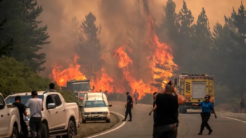 EMERGENCIA ÍGNEA.jpg