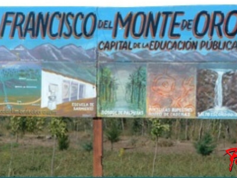 cartel.jpg.jpg