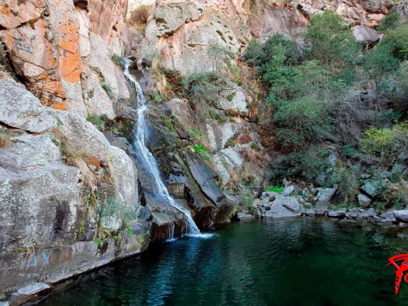 SALTO-MONEDA1.jpg