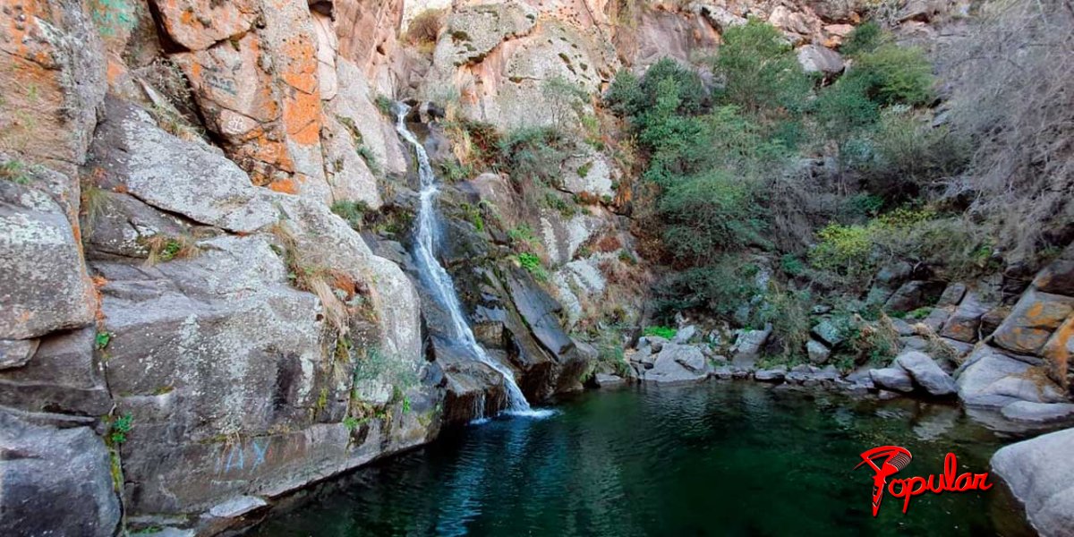 SALTO-MONEDA1.jpg