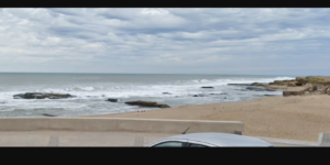 Captura de pantalla 2026-01-31 100802.png