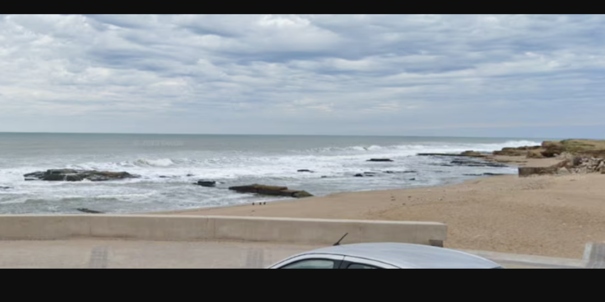 Captura de pantalla 2026-01-31 100802.png