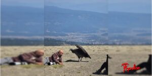 condor-batea-mahuida-2.jpg