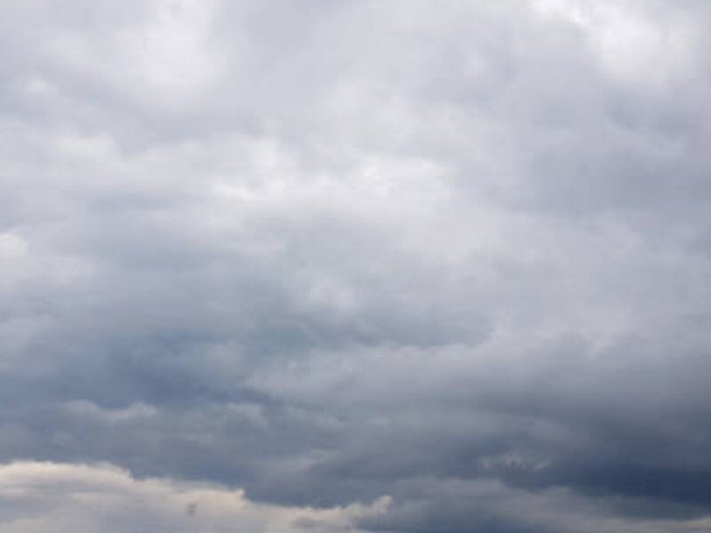 istockphoto-1156241578-612x612.jpg