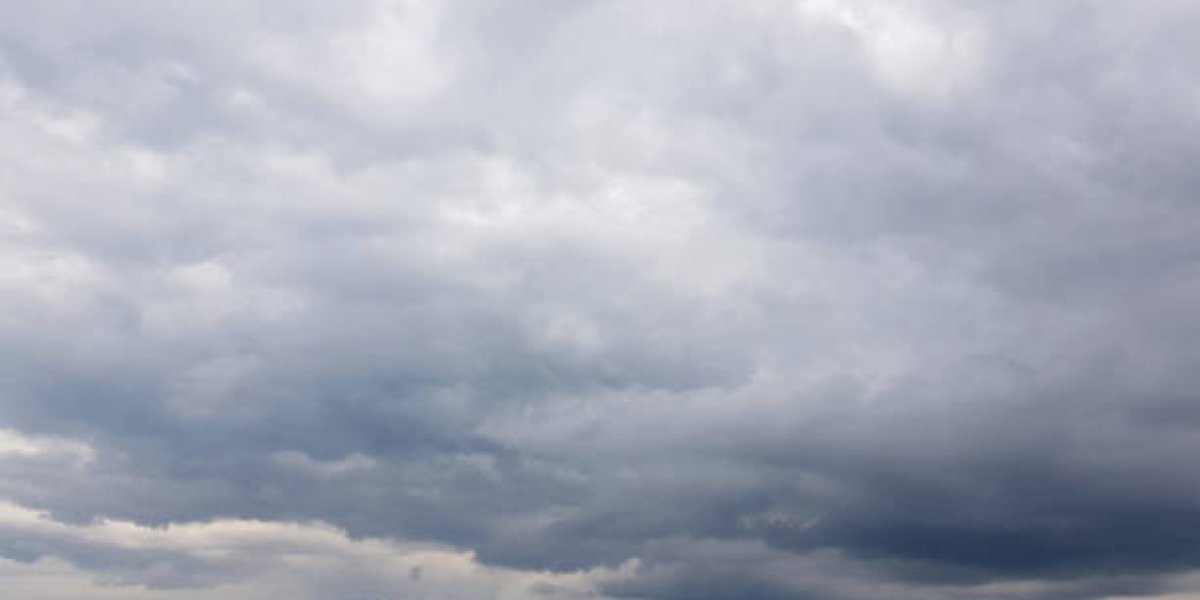 istockphoto-1156241578-612x612.jpg